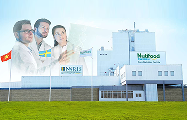 The official launch of Nutifood’s dairy factory in Sweden
